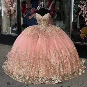 Robe de bal rose princesse en tulle à épaules dénudées pour quinceañera