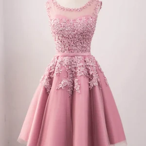 Vintage bijou cou rose dentelle Appliques Occasion robe modeste courte robe de bal